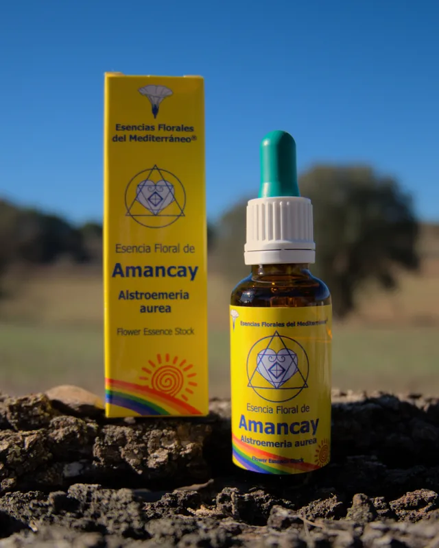 Amancay