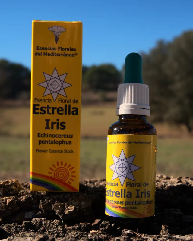 Estrella Iris