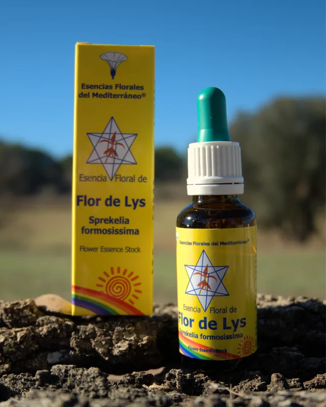 Flor de Lys