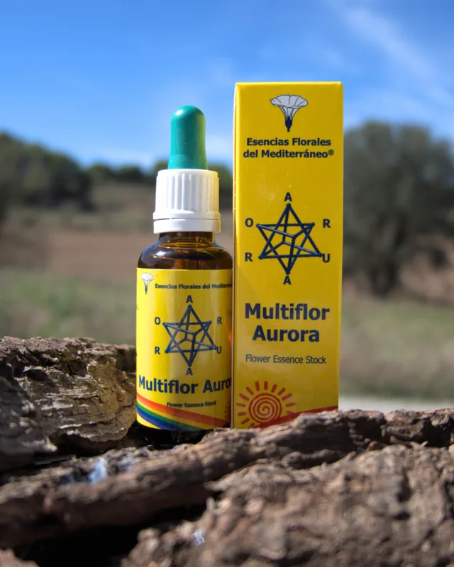 Multiflor Aurora