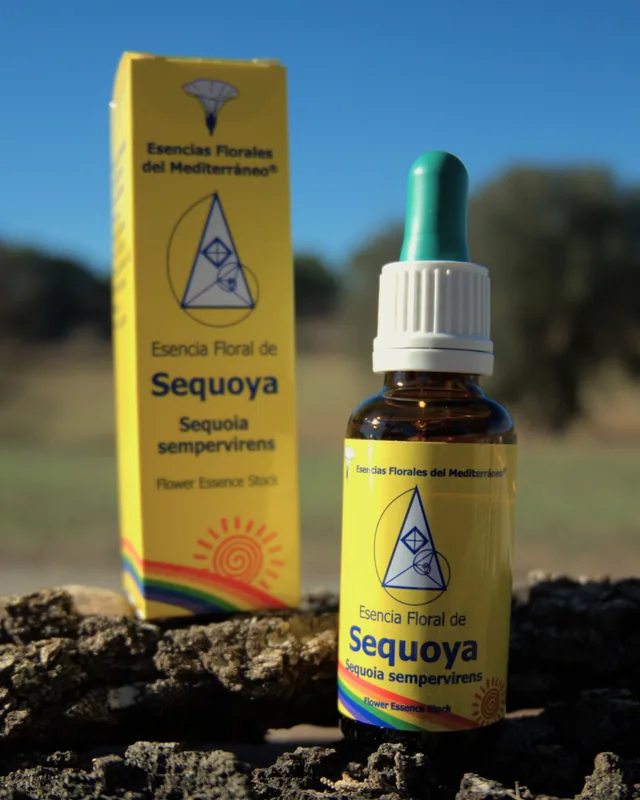 Sequoya
