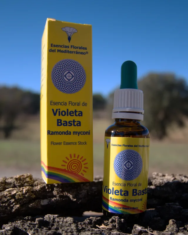 Violeta Basta